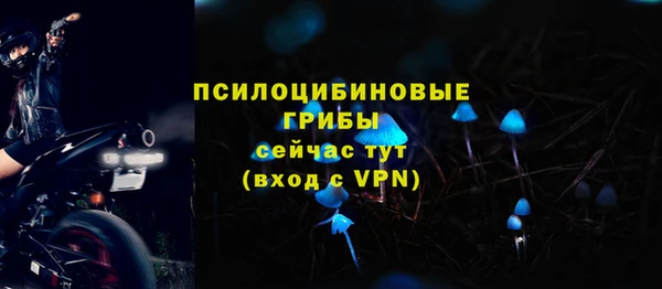 гидра Алзамай