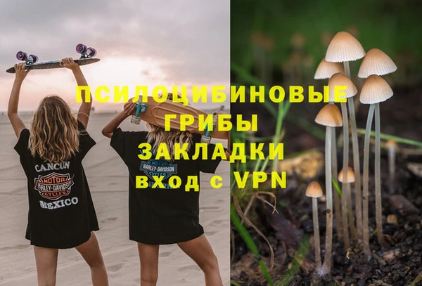 a pvp Алексин