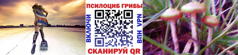 Псилоцибиновые грибы Psilocybe Нягань